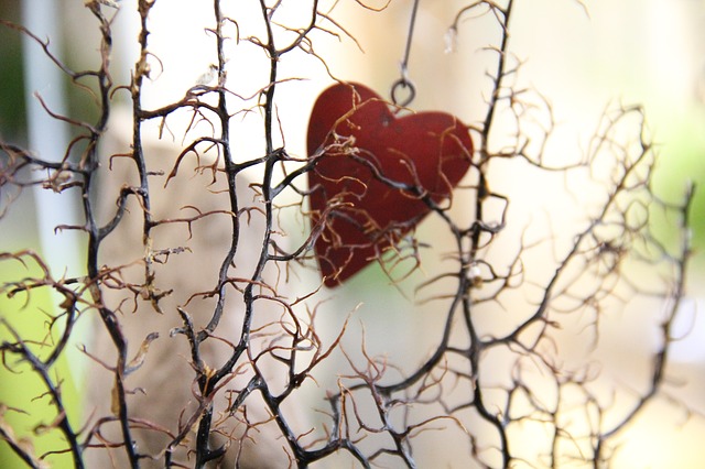 The Heart with Thorns Entwined!©